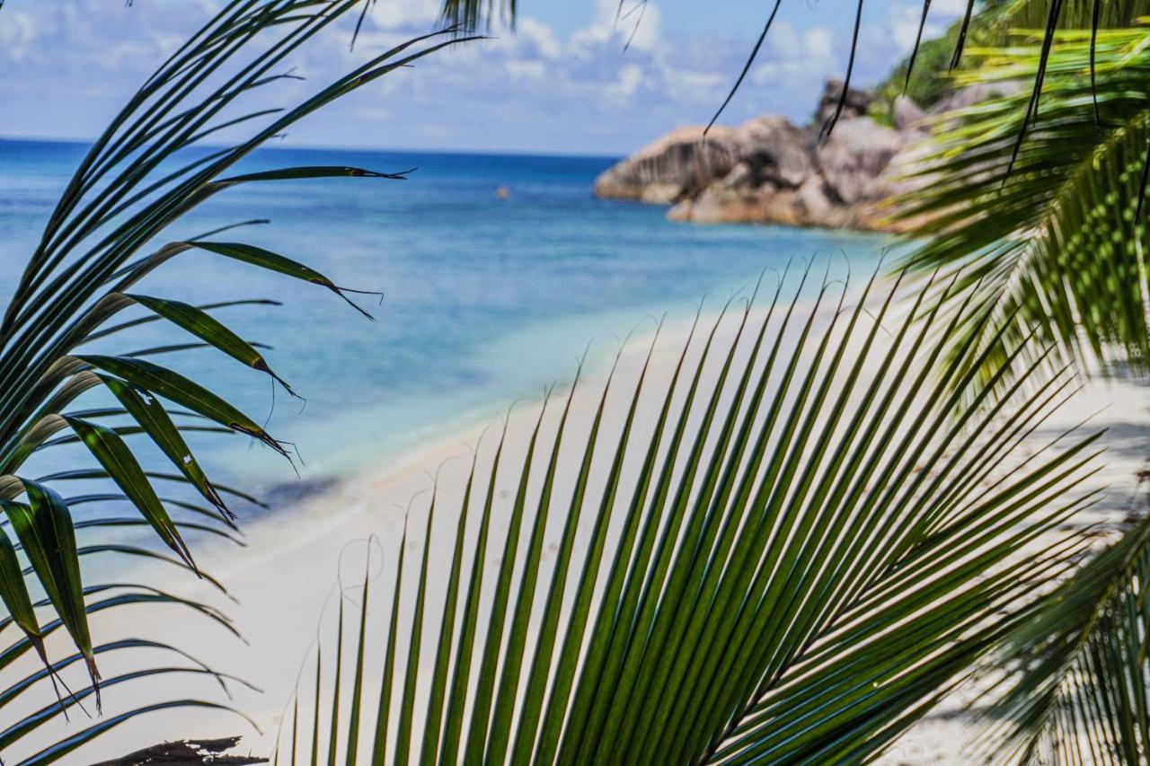 Anse Kerlan Beach Chalets Kültér fotó