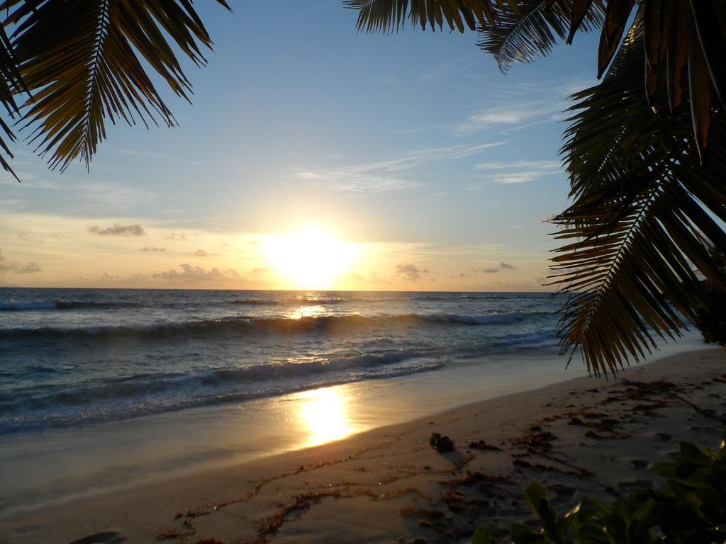 Anse Kerlan Beach Chalets Kültér fotó